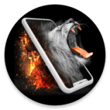 4d动态壁纸app1.1.9