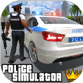 警察模拟器巡警1.0