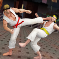 散打武术模拟v0.1.1