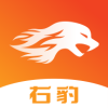 右豹短剧app1.3.5