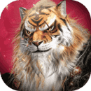 完美世界诸神之战1.21.0