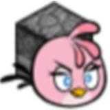 我的鸟指导版2.0