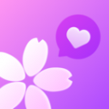樱花交友1.2.7