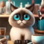 喵喵人生正版1.0.0