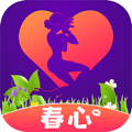 春心交友13.9.00