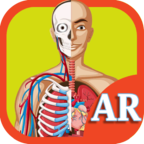 AR Human Organs(AR人体器官安卓版)