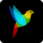 G30记忆迷宫完整版