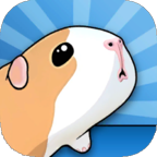 GUINEA PIG BRIDGE!(豚鼠桥中文版)