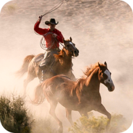 森林牧场模拟器2018安卓版