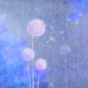 Becoming a Dandelion Spore(蒲公英之旅安卓版)