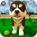 虚拟小狗模拟器1.1