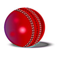 打板球HitCricket安卓版