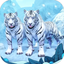 老虎模拟狩猎3D安卓版