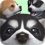 口袋小狗手机版