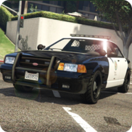 Car Driving Simulator 3d: Driver License中国汽车驾驶模拟器3d安卓版