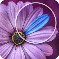 发现差异安卓版