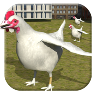 老母鸡过马路安卓版