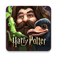 Harry Potter(哈利波特：霍格沃茨之谜完整版)