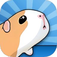 GUINEA PIG BRIDGE!(豚鼠桥GUINEA PIG BRIDGE)