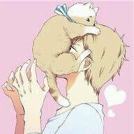 王思聪发红包生成器软件(微博)