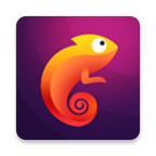 百变主题机车版(Variety)