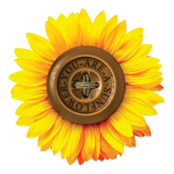 你是向日葵游戏