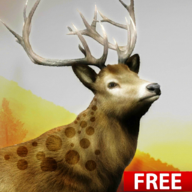 Hunting Challenge(狩猎挑战安卓版)