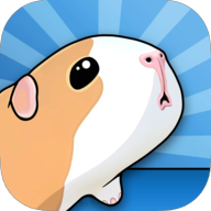 GUINEA PIG BRIDGE!(豚鼠桥)