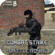Combat Strike Battle Royal Fps安卓版