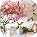 密室逃脱蝴蝶之谜安卓版