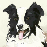 植绒绵羊Flocking Sheep安卓版