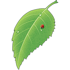 Everlasting Summer(永恒的夏季安卓版)