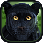 Wild Panther Sim(黑豹模拟器3D安卓版)