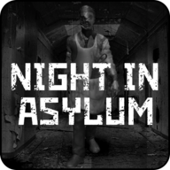 Night in Asylum(庇护所之夜游戏)