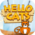 Hello Cats(你好小猫猫安卓版)