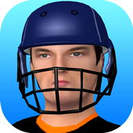 Smashing Cricket(击碎板球安卓版)