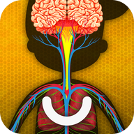 人体是如何运作的