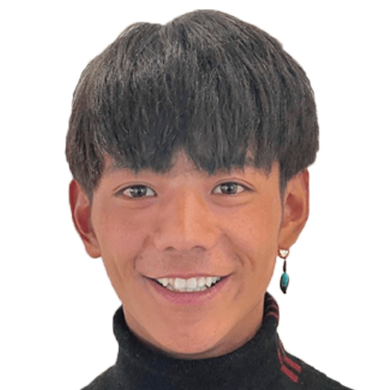 努力少年丁真游戏