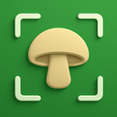 识菇鉴菌app