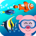点点海洋世界安卓版