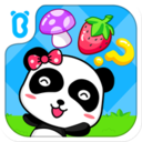 逻辑大挑战-宝宝巴士