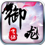 御龙飞仙安卓版