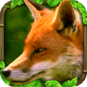 狐狸模拟世界中文单机版