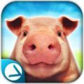 PigSimulator(抖音模拟猪的游戏Pig Simulator手机版)