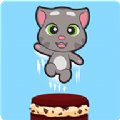 汤姆猫蛋糕跳无广告版
