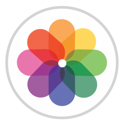 长图生成器手机版