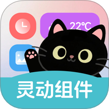 灵动皮肤小组件