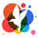 小鸟壁纸app