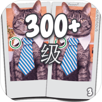 Find the Differences找到差异300级