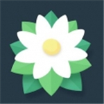 Breath(光明之息中文版)